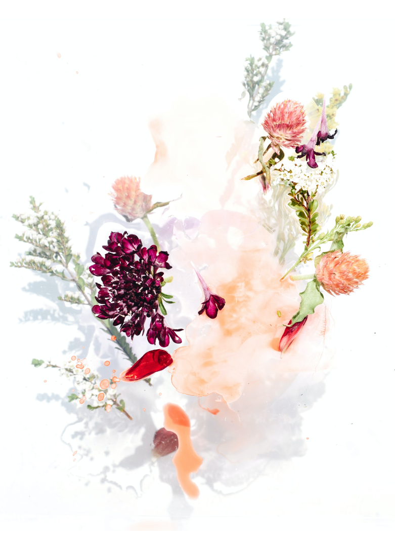 Detailed flower painting