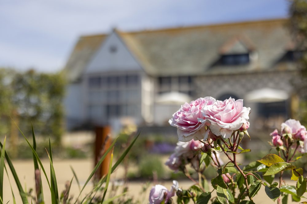 The Bill House Dementia Garden